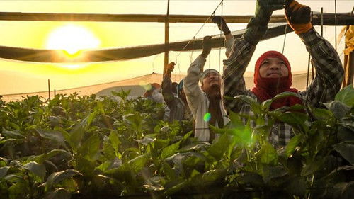 Image de l'épisode 31