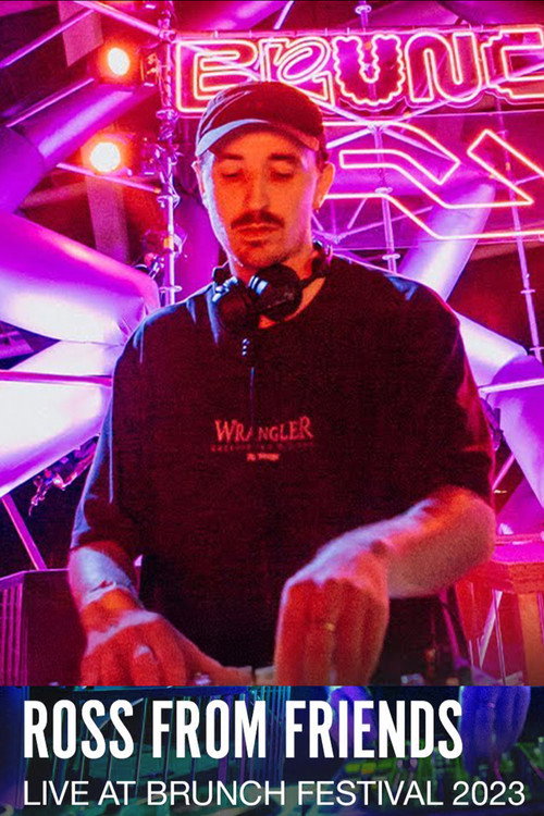 Ross From Friends at Brunch Electronik Festival