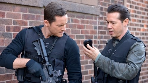 Chicago P.D. Distrito 21: 3×9