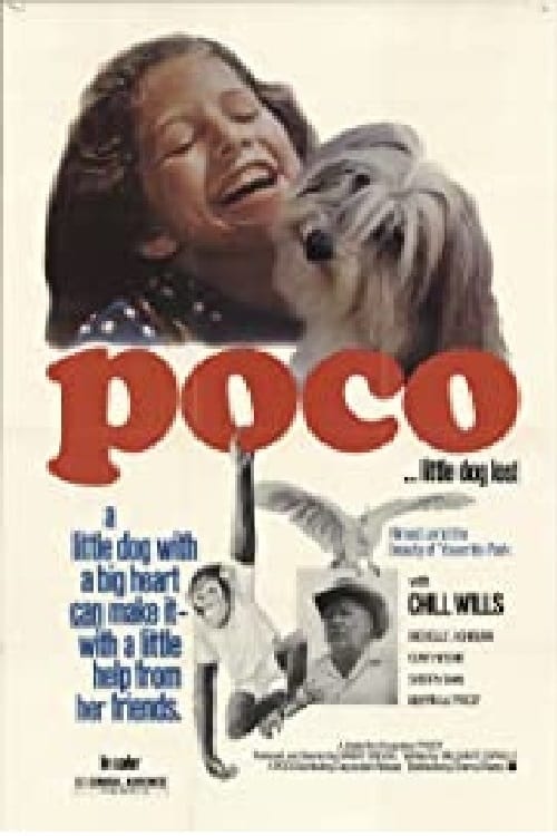 Poco… Little Dog Lost