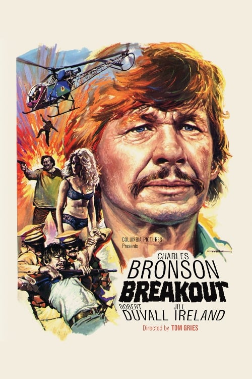 Grootschalige poster van Breakout