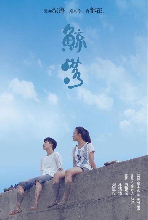 鲸落 (2019) poster