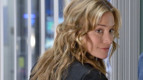 Poster della serie Covert Affairs