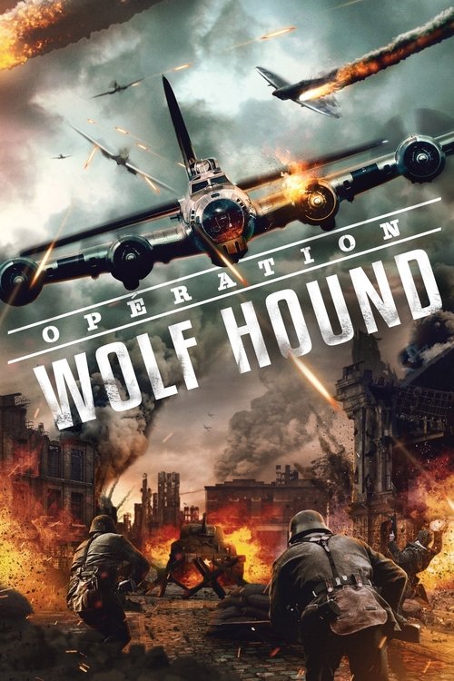 Poster image du film Opération Wolf Hound Opération Wolf Hound