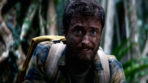 Jungle image 3