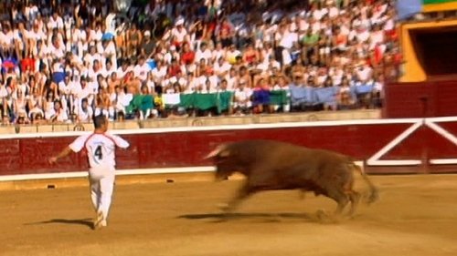 Taureau enragé