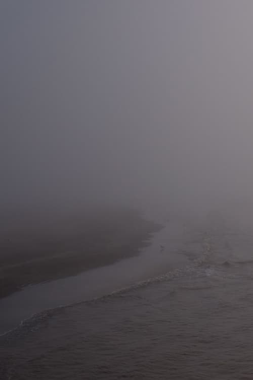 Niebla (2017)
