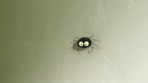 The stubborn spider