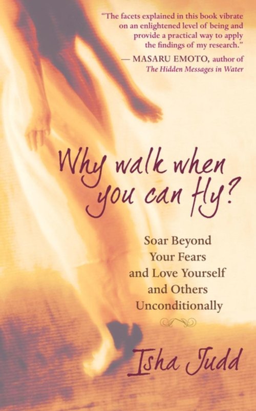 Poster Why Walk When You Can Fly? The Movie 