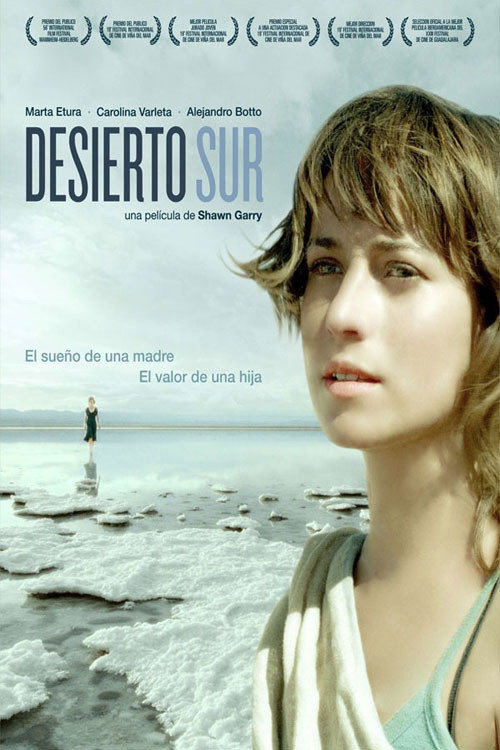 Desierto Sur poster