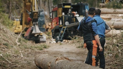 Poster della serie Undercut: l'oro di legno