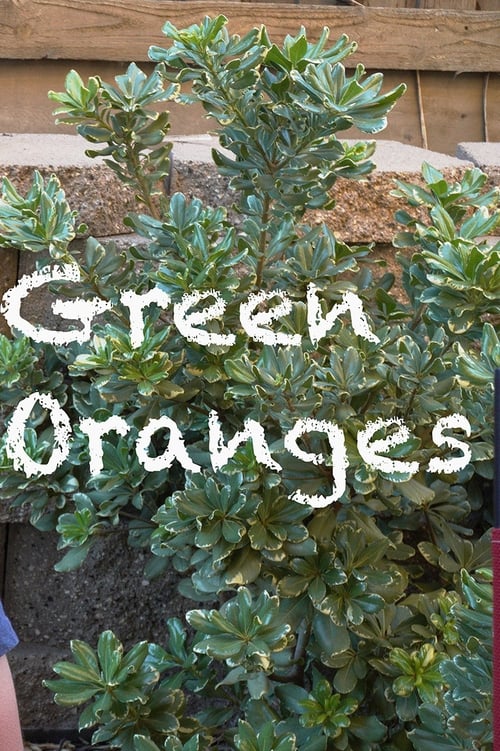 Green Oranges (2020) poster