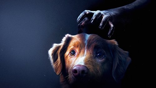 Good Boy image 3