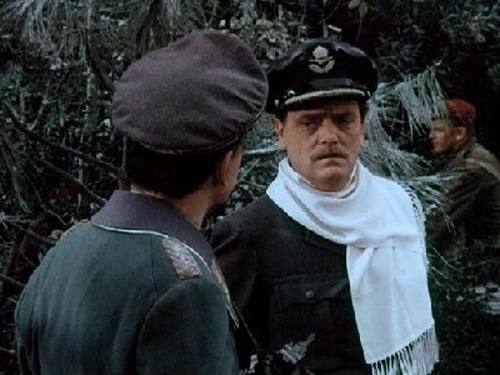 Poster della serie Hogan's Heroes