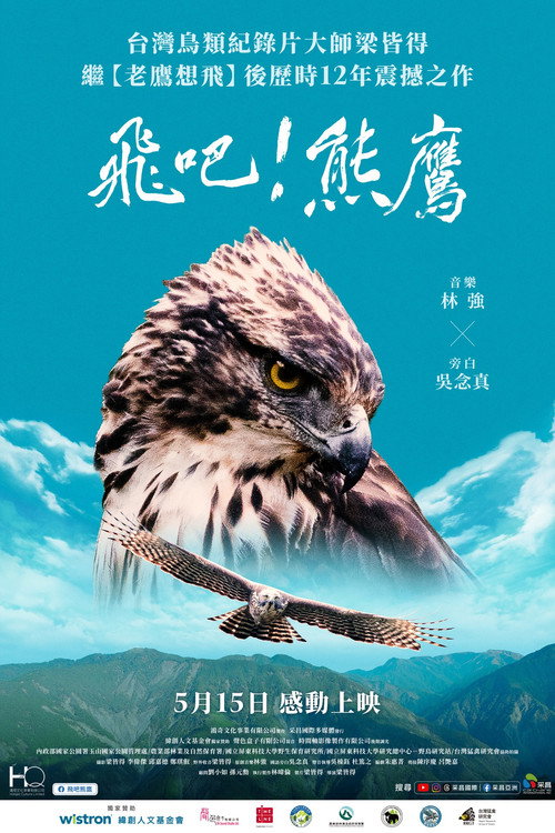 Fly! Mountain Hawk-Eagle poster