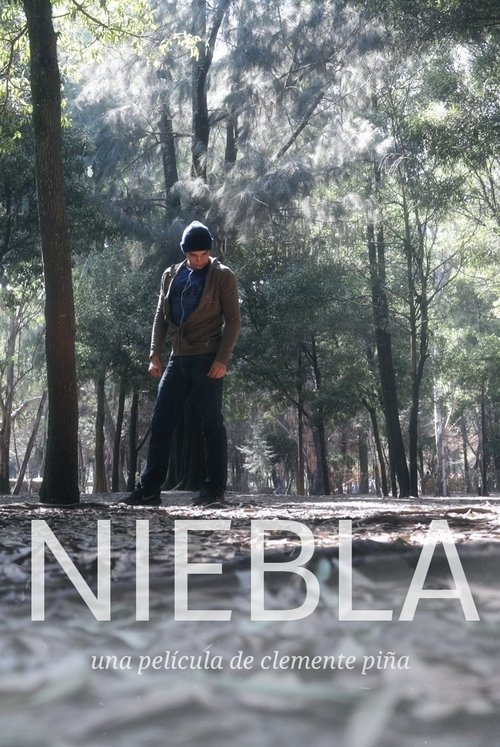 Niebla movie poster player