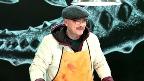 Image de l'épisode 13