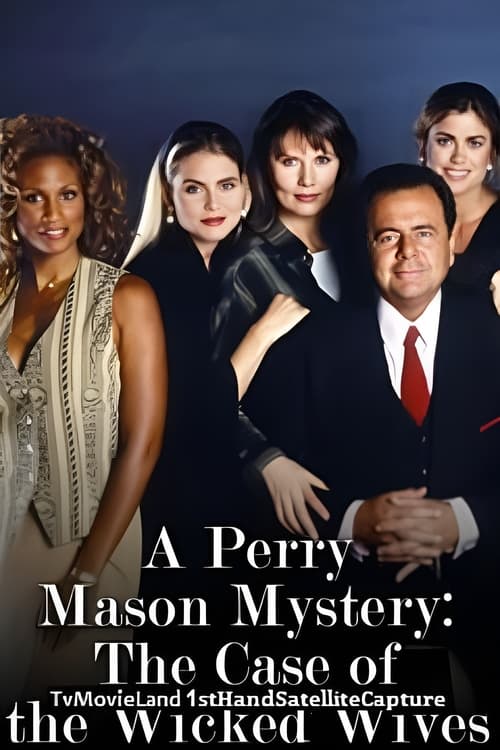 Poster Perry Mason: The Case of the Wicked Wives 1993