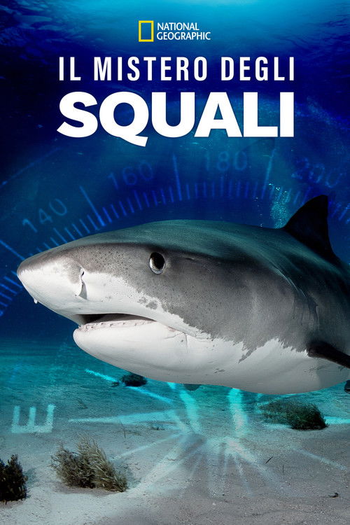 Locandina di Il mistero degli squali