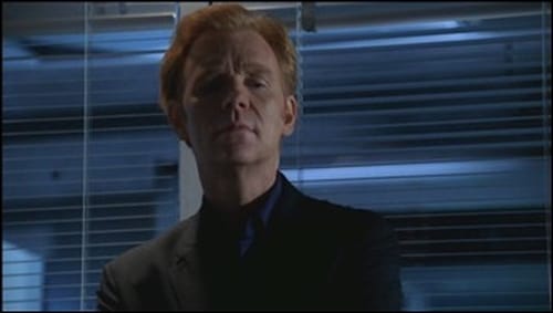 Poster della serie CSI: Miami