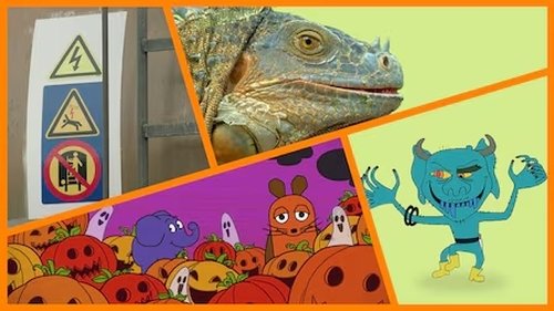 Image de l'épisode 43