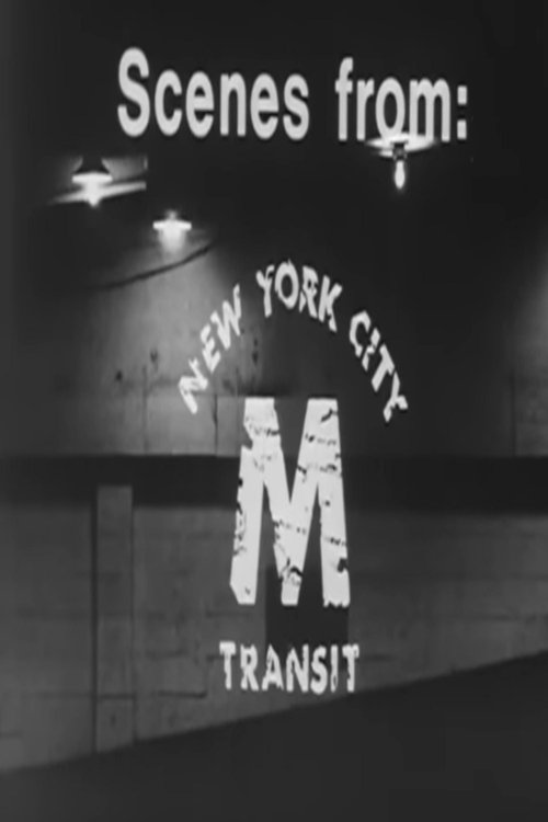 Scenes From New York City Transit poster