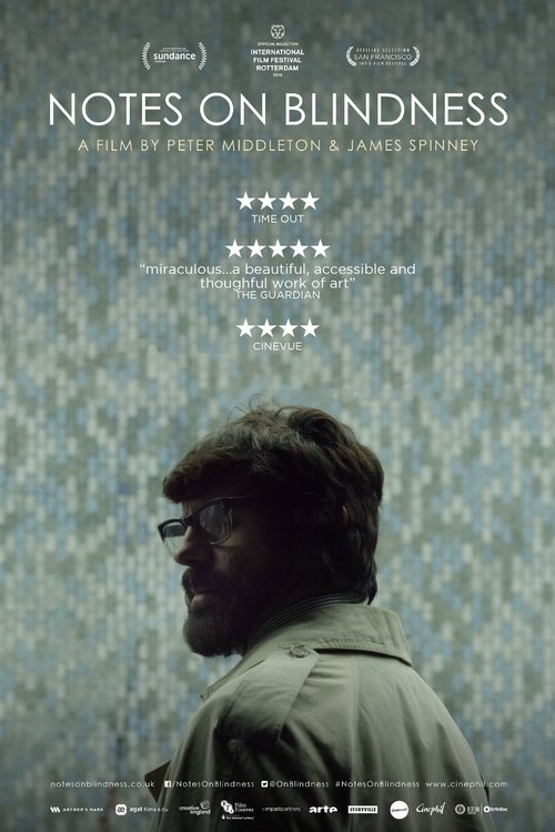 Image Notes on Blindness