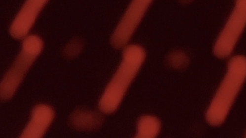 Surfaces Backdrop Blur