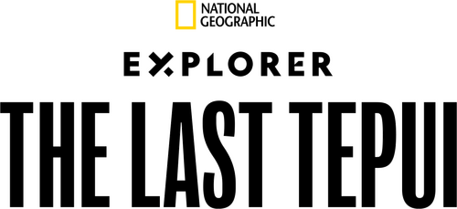 Explorer: The Last Tepui