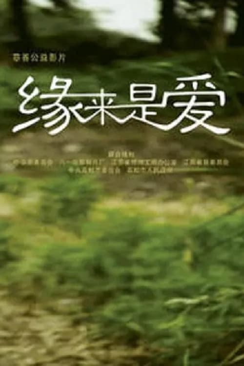 缘来是爱 (2009)