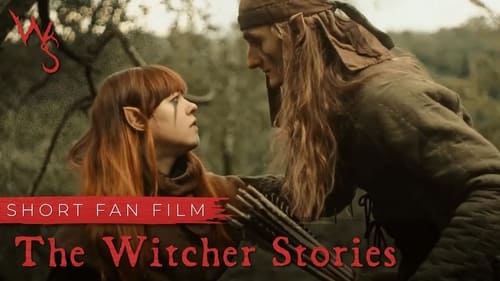 Poster della serie The Witcher Stories