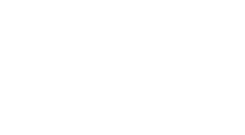 The Kid
