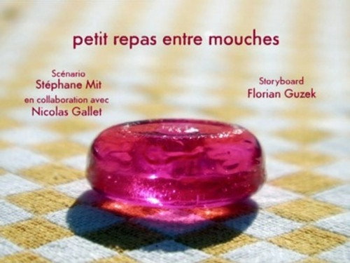 Image Petit repas entre mouches