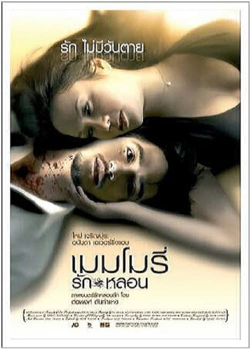 Poster เมมโมรี่ รักหลอน 2008