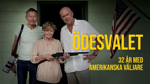 Ödesvalet - 32 år med amerikanska väljare Backdrop Blur