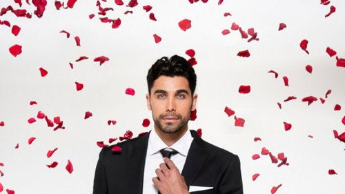 The bachelor greek - Season 1 Backdrop Blur