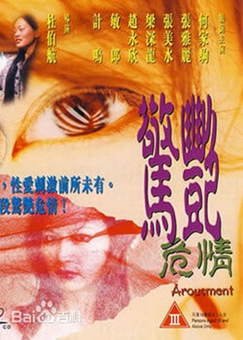 Poster 驚艷危情 1999