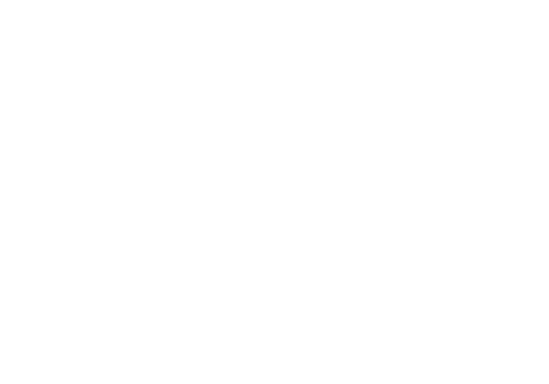 The Burnt Orange Heresy
