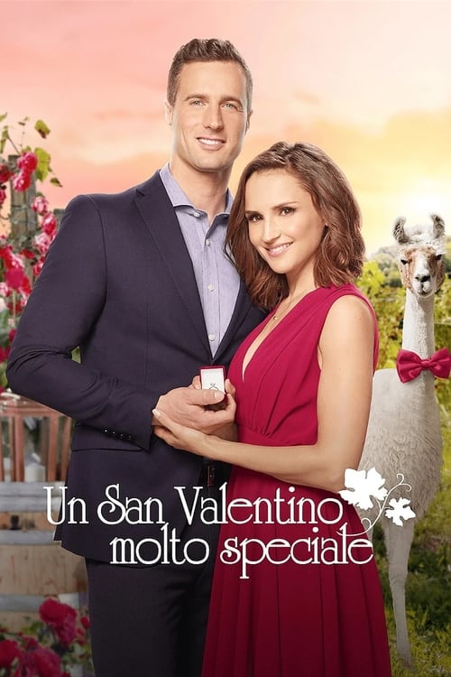 Valentine in the Vineyard poster