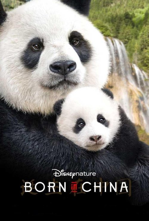 Born in China Online
