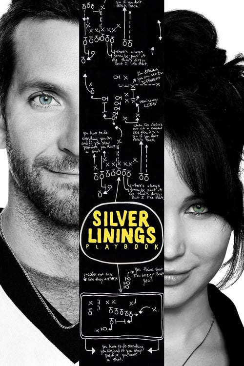 Grootschalige poster van Silver Linings Playbook