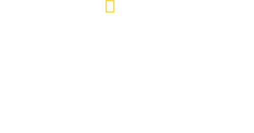 Nasca Lines Decoded