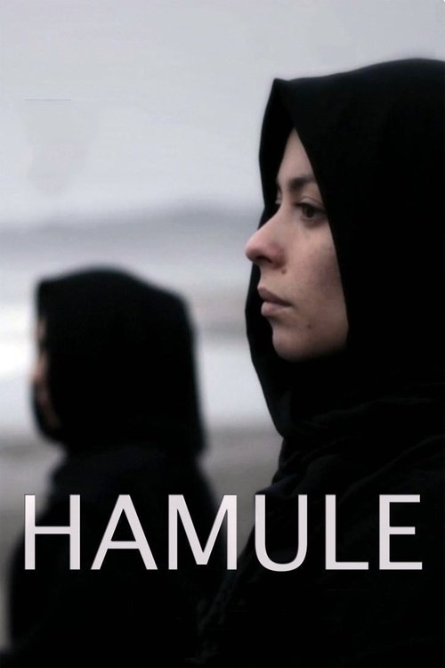 Hamule movie poster player