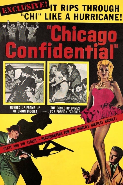 Chicago Confidential poster