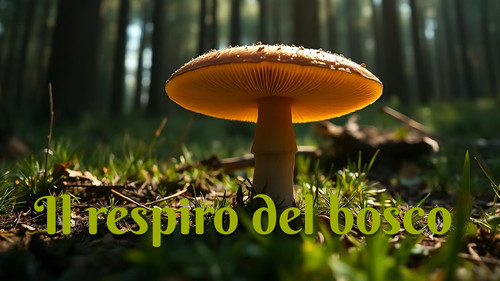 Il respiro del bosco Backdrop Blur