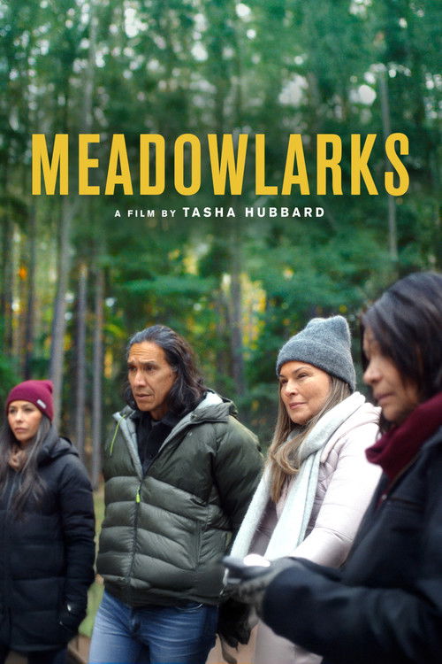 Meadowlarks poster