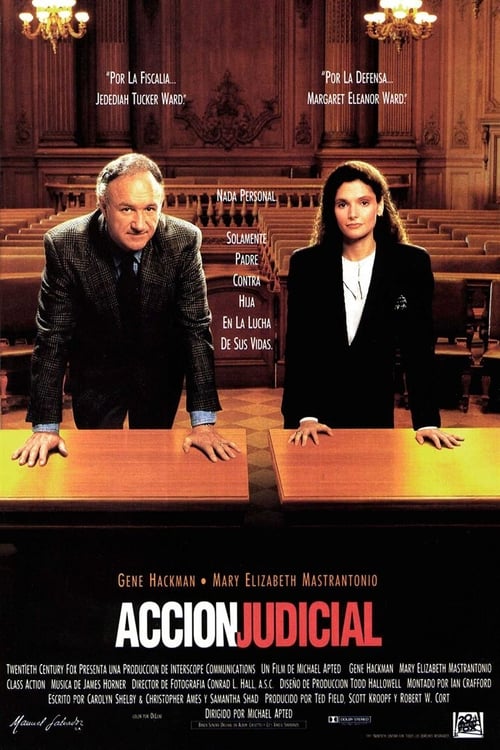 Acción Judicial 1991