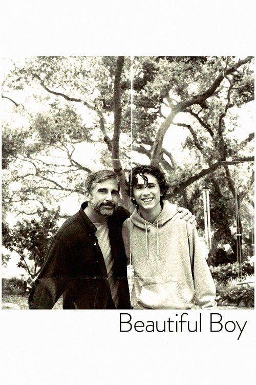Beautiful Boy poster