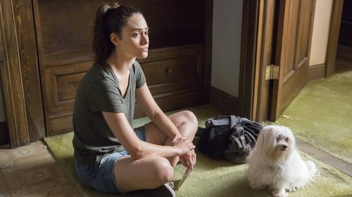 Shameless: 8×6