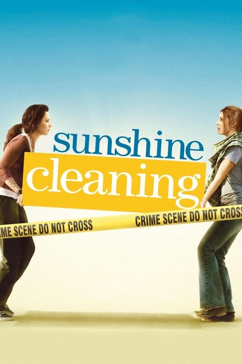 Sunshine Cleaning (2008)